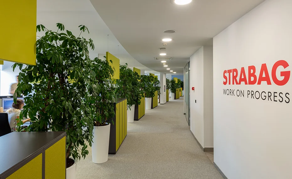 Cjelovito hortikulturno uređenje uredskog interijera